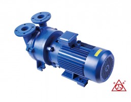 安徽2BV水环真空泵