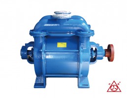 安徽SK水环真空泵