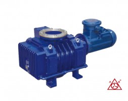 安徽罗茨真空泵